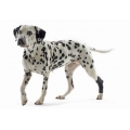Kruuse Rehab Dog Hock Protector / Hock Brace